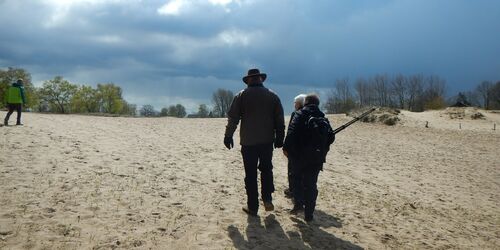 Hamburgs letzte Wanderdüne