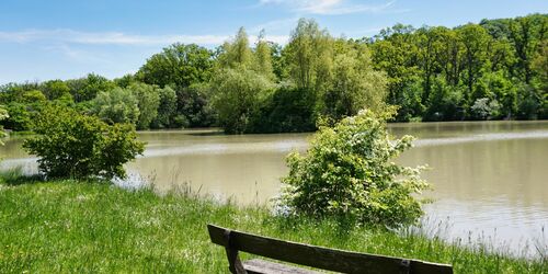 Wolfsee (Markt Bibart), Foto: Stefanie Binder