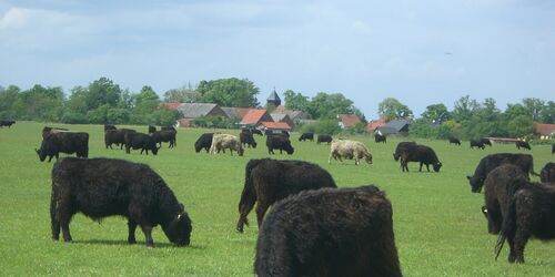 Gut Hesterberg, Foto: Madlen Wetzel, Lizenz: Madlen Wetzel