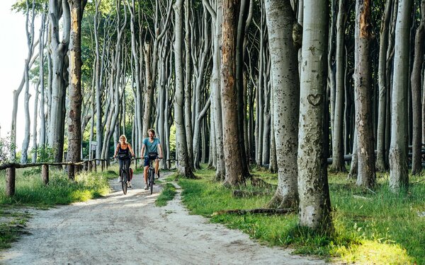 Radwandern an der Ostseeküste, Foto: Gänsicke, Lizenz: TMV