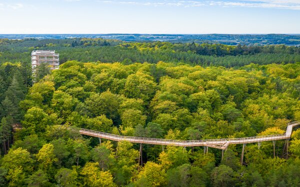 Baumwipfelpfad im Herbst, Foto: Erlebnis Akademie AG/Baumwipfelpfad Bayerischer Wald