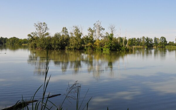 Am Großen Teich  Gemeinde Röderaue