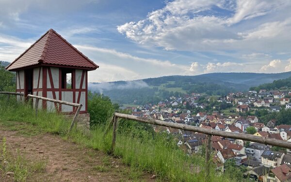 Ausblick von der Burgruine Bartenstein, Foto: Tourismusverband Spessart-Mainland (Bloier)