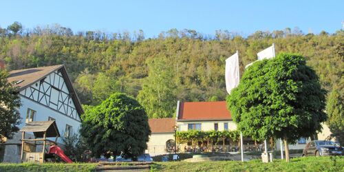 Landesweingut Kloster Pforta, Foto: Marion Klotz