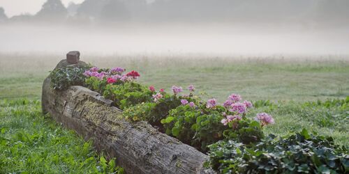 An der Kneippanlage Mernes, Foto: Spessart Tourismus und Marketing GmbH