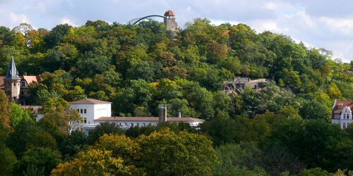 Der Zooberg  Zoo Halle/Steffen Schellhorn