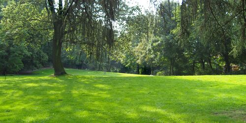 Reichardts Garten, Foto: Gartenträume Sachsen Anhalt e.V.