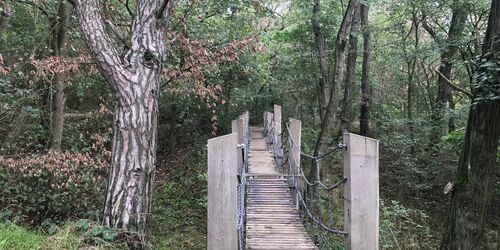 Hängebrücke Kleine Heide, Foto: Anet Hoppe