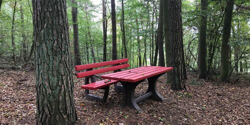 Rastplatz im Wald Kleine Heide, Foto: Anet Hoppe