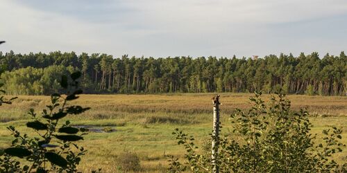 Aussicht vom Lobenturm, Foto: TMB-Fotoarchiv/ScottyScout, Lizenz: TMB-Fotoarchiv/ScottyScout