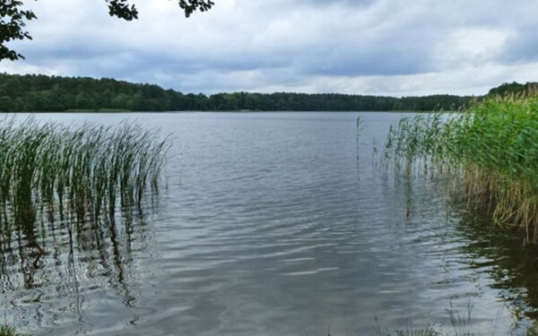 Badestelle Tornower See, Foto: Tourismusverband Dahme-Seenland e.V