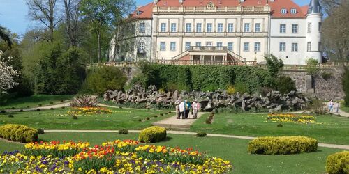 Frühjahrsflor im Blick zum Schloss Wiesenburg, Foto: Kathrin Rospek