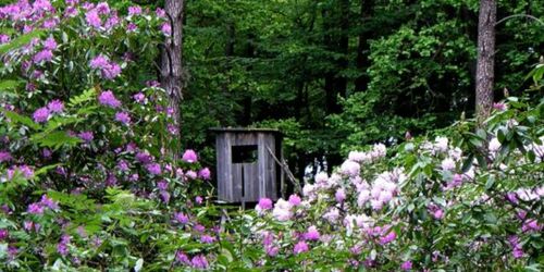 Rhododendren mit Jagdkanzel im Schlosspark Wiesenburg, Foto: Carmen Winter