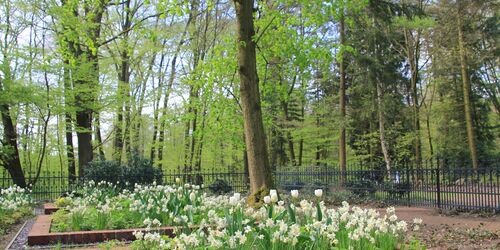 Neu gestaltetes Erbbegräbnis im Schlosspark, Foto: Bansen/Wittig