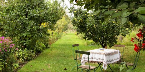 Garten in der Russischen Kolonie Alexandrowka, Foto: André Stiebitz, Lizenz: PMSG