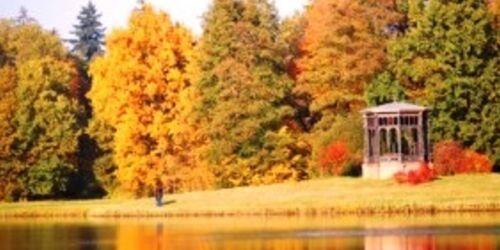 Ein Herbstbild vom Schlosspark Fürstlich Drehna