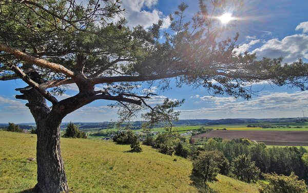 Schanzberg, Foto: Katja Schumann