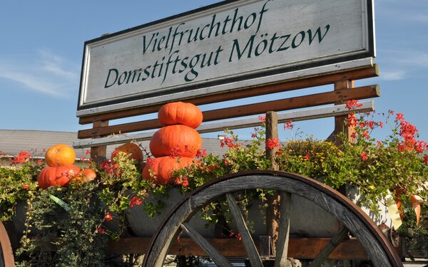 Vielfruchthof Domstiftsgut Mötzow, Foto: Tourismusverband Havelland e.V.