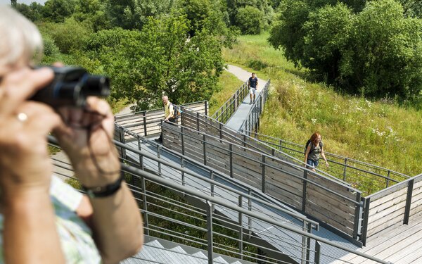 Vogelinsel, Foto: TV Fränkisches Seenland