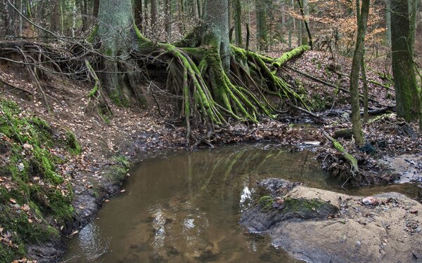 Rumpelbachschlucht, Röthenbach, Foto:  Derzno