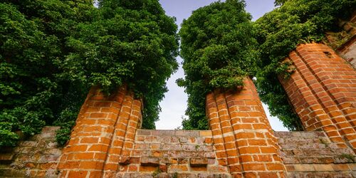 Klosterruine in Himmelpfort, Foto: André Wirsig, Lizenz: REGiO-Nord mbH