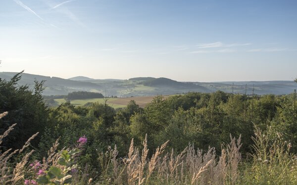 Blick auf Schwarzenfels, Foto: Spessart Tourismus und Marketing GmbH