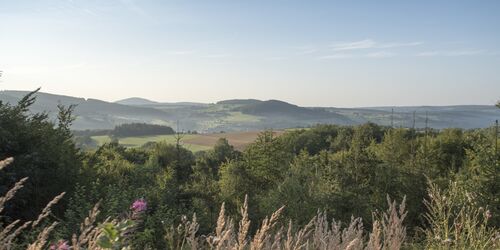 Auf der Sinntalrunde Natur und Kultur erleben