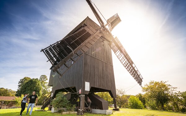 Bockwindmühle Werder (Havel) , Foto: Björn Stelley, Lizenz: Stadt Werder (Havel)