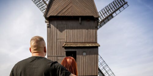 Blick auf Bockwindmühle Werder (Havel), Foto: Björn Stelley, Lizenz: Stadt Werder (Havel)