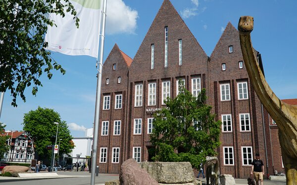 Staatliches Naturhistorisches Museum Braunschweig, Vorplatz mit Spinophorosaurus, Foto: SNHM