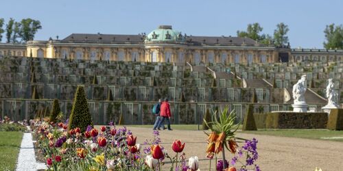 Schloss Sanssouci im Frühling, Foto: André Stiebitz, Lizenz: PMSG SPSG