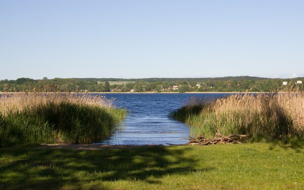 Badestelle in Fergitz am Oberuckersee, Foto: Alena Lampe