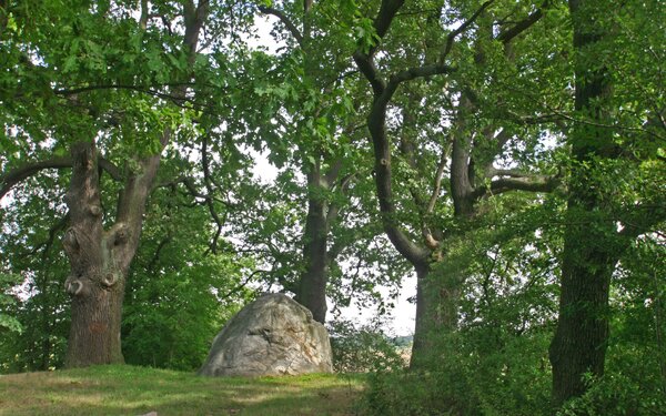 Teufelsstein im Schlosspark Ringenwalde, Foto: terra press