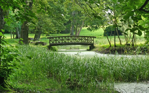 Schlosspark Ringenwalde, Foto: terra press