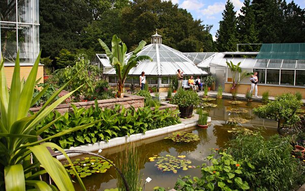 Botanischer Garten - Teich, Foto: Thomas Ziegler, Lizenz: Stadt Halle (Saale)