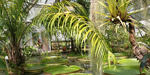 Botanischer Garten, Foto: Thomas Ziegler, Lizenz: Stadt Halle (Saale)