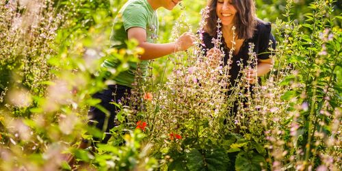 Sinnesgarten im NaturParkHaus Stechlin in Menz, Foto: André Wirsig, Lizenz: REGiO-Nord mbH