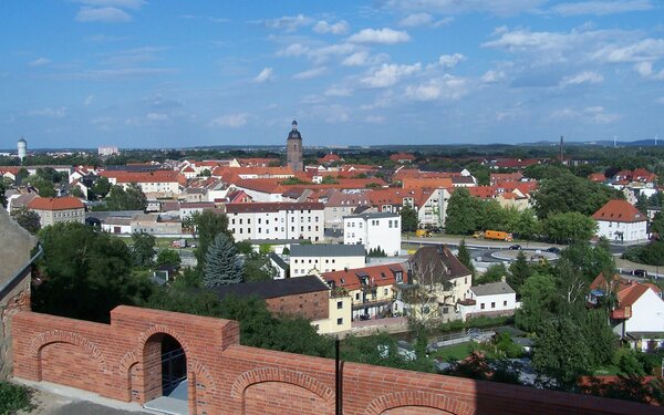 Blick vom Burgberg  Stadt Eilenburg