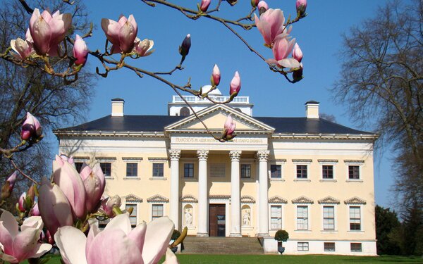 Schloss Wörlitz  Johannes Winkelmann/Wittenberg Kultur e.V.