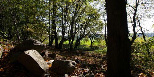 Große Findlinge liegen auf dem Weinberg. , Foto: Bansen/Wittig