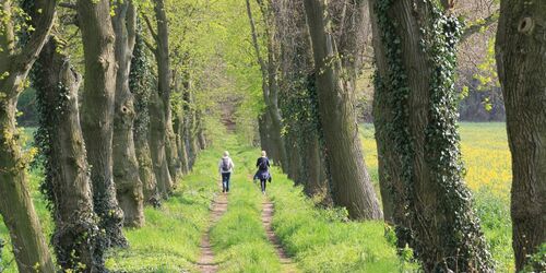 Eine Allee führt zum Erbbegräbnis. , Foto: Bansen/Wittig