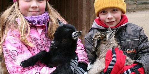 Besonders beliebt bei den Kindern: der Streichelzoo und weitere begehbare Gehege , Foto: Wildpark MV