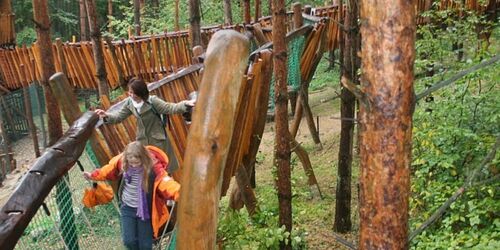 Auf abenteuerlichen Kletterpfaden geht es durch die Raubtier-WG , Foto: Wildpark MV