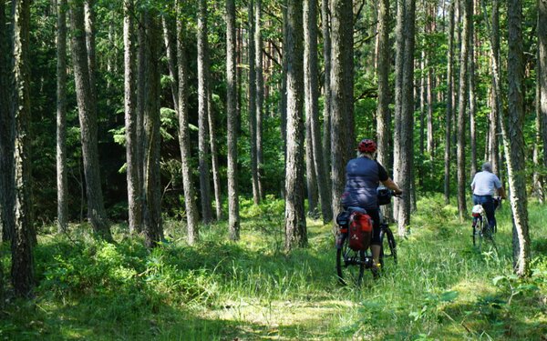 Rad-Naturerlebnispfad August-Bartelt, Foto: TVV/Bock