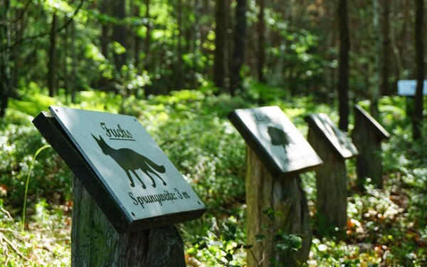 Naturerlebnispfad August-Bartelt, Foto: TVV/Bock