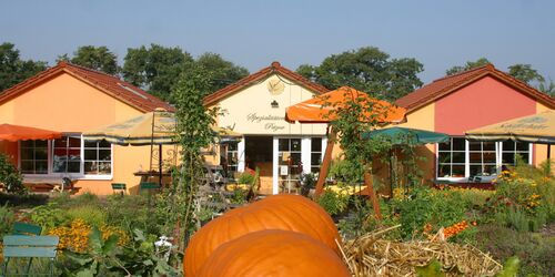 Sanddorn-Garten Petzow, Foto: Tourismusverband Havelland e.V.