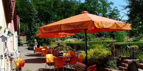 Sanddorn-Garten Christine Berger, Foto: TMB-Fotoarchiv