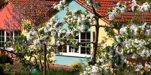 Hofladen im Sanddorn-Garten Petzow