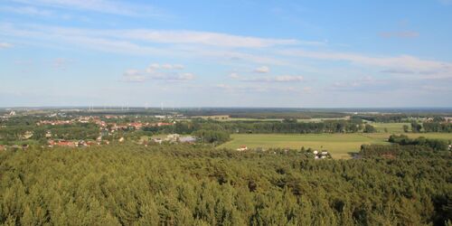 Blick vom Aussichtsturm auf dem Löwendorfer Berg, Foto: Tourismusverband Fläming e.V. / A. Stein