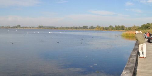 Bohlensteg am Blankensee, Foto: Landschafts-Förderverein Nuthe-Nieplitz-Niederung e.V.